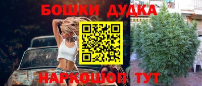 трава Абакан