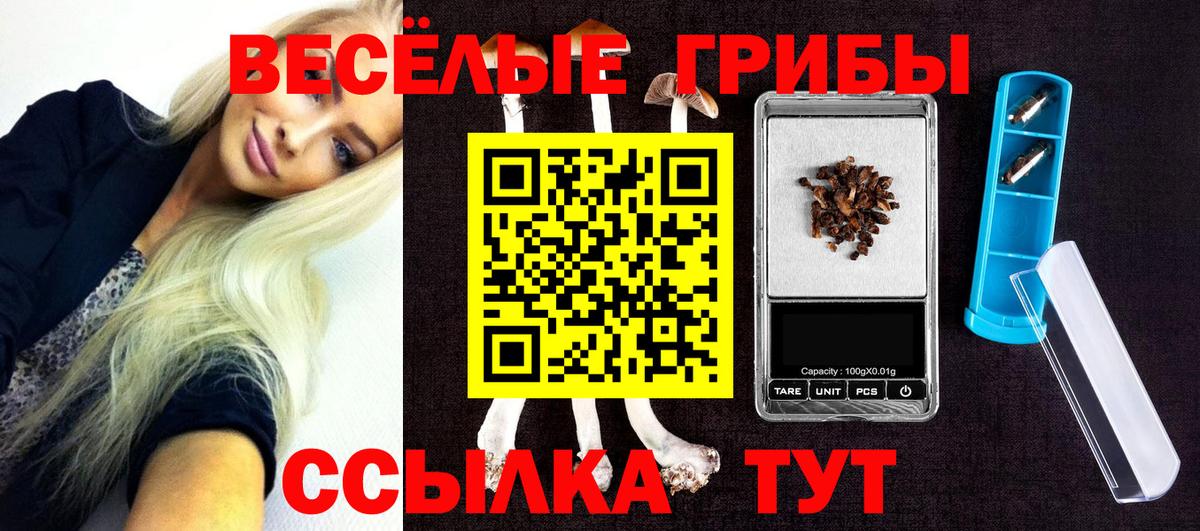 Псилоцибиновые грибы Magic Shrooms  Псилоцибиновые грибы MAGIC MUSHROOMS  Апатиты  Вход с VPN 